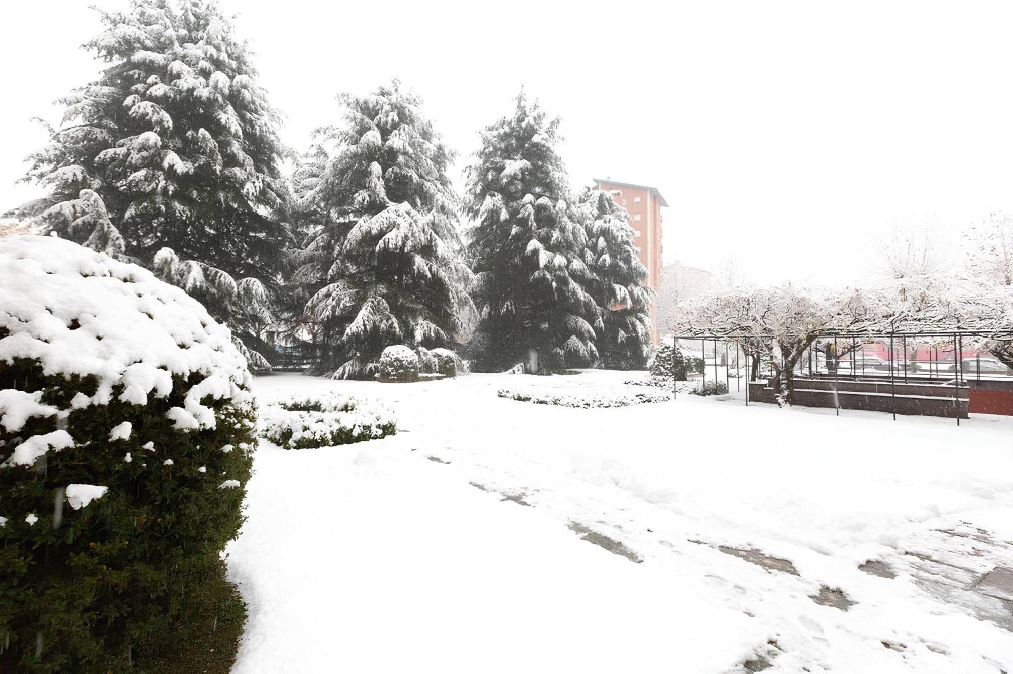 I Cedri Turim Exterior foto